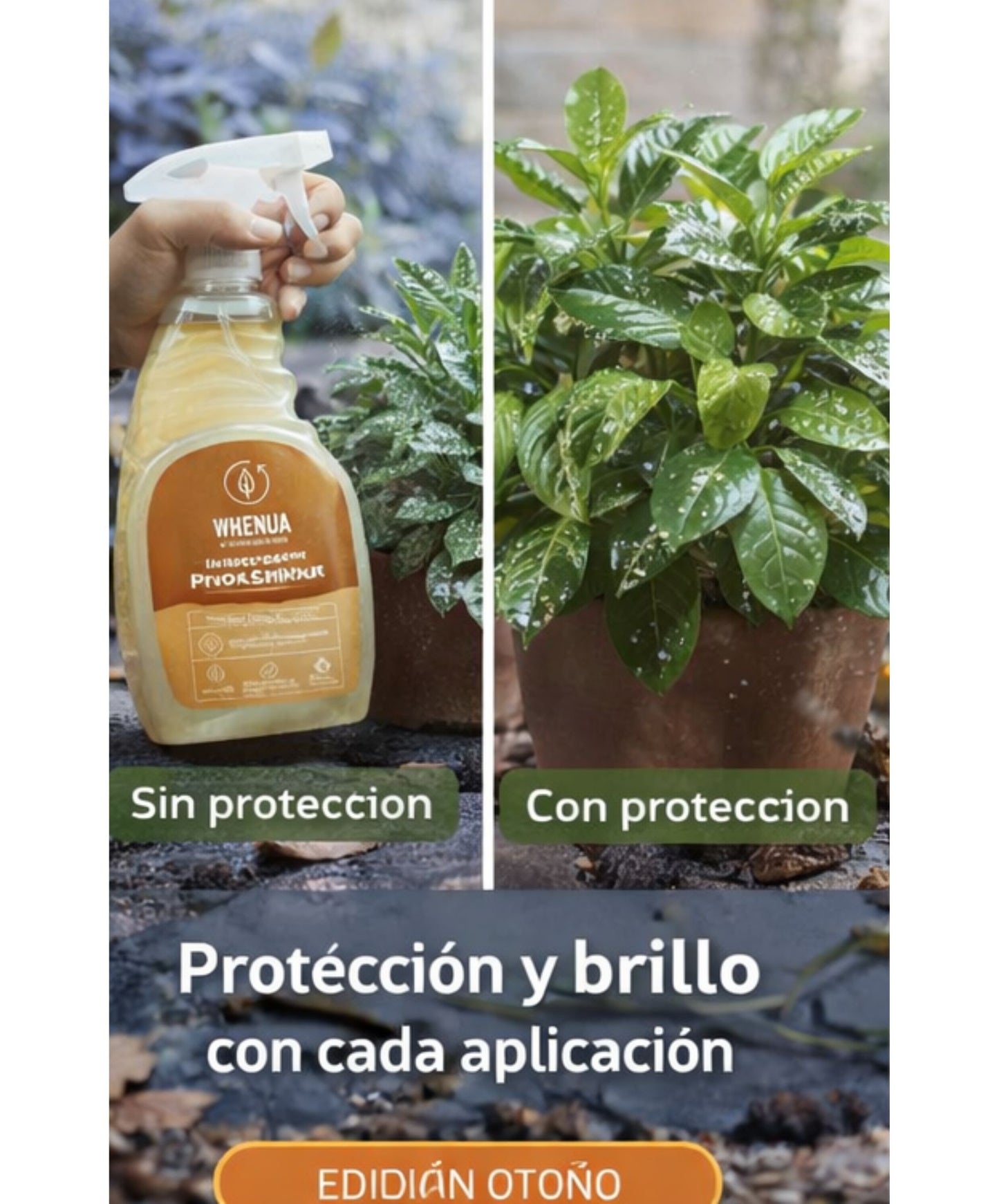Pack Tropicales – Fertilizante, Recuperador y Brillo