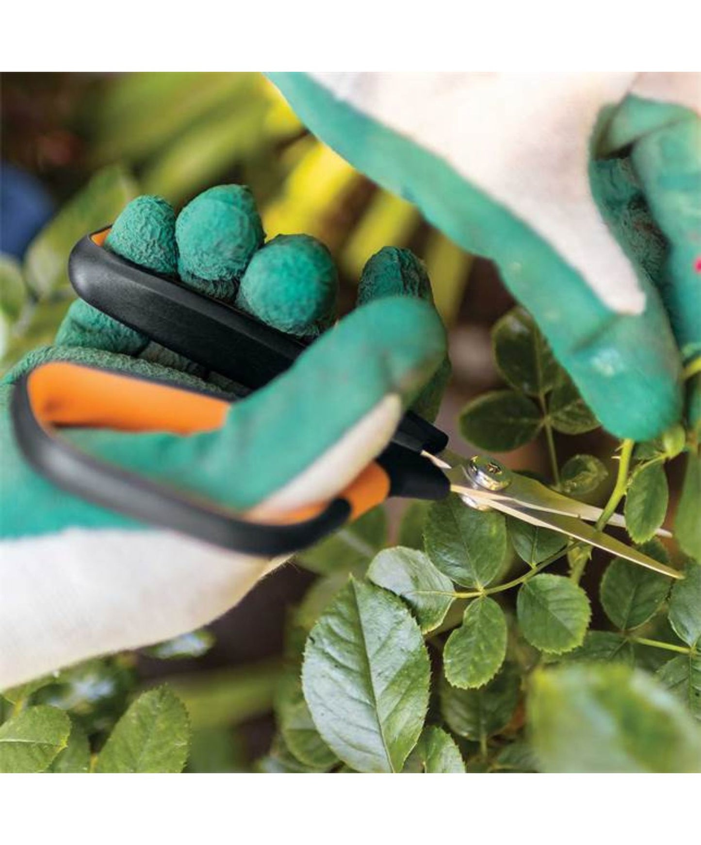 Tijera de Podar Micro-Tip® con Asas Grandes – Precisión y comodidad profesional