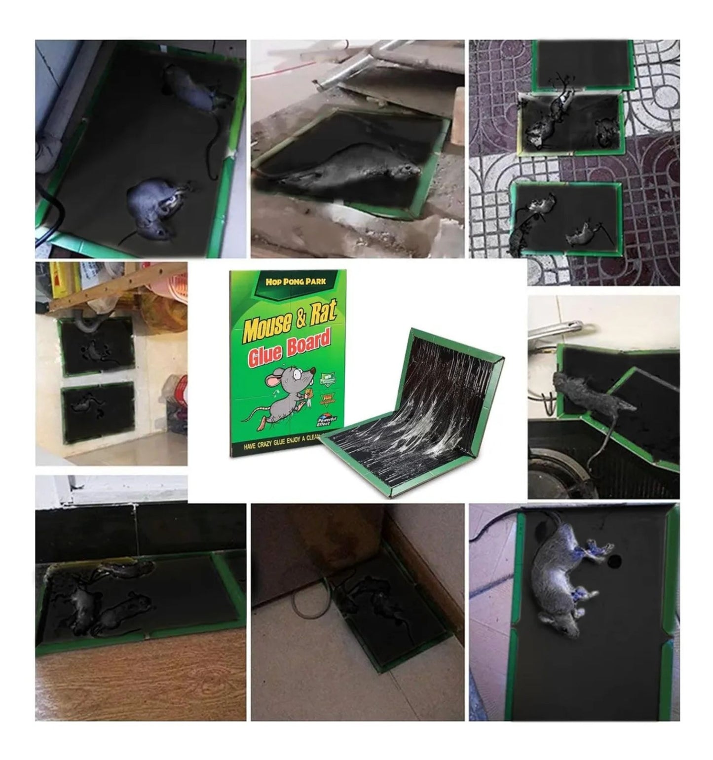 Pack 10 Trampas Adhesivas para Ratones – Control Seguro y Eficaz