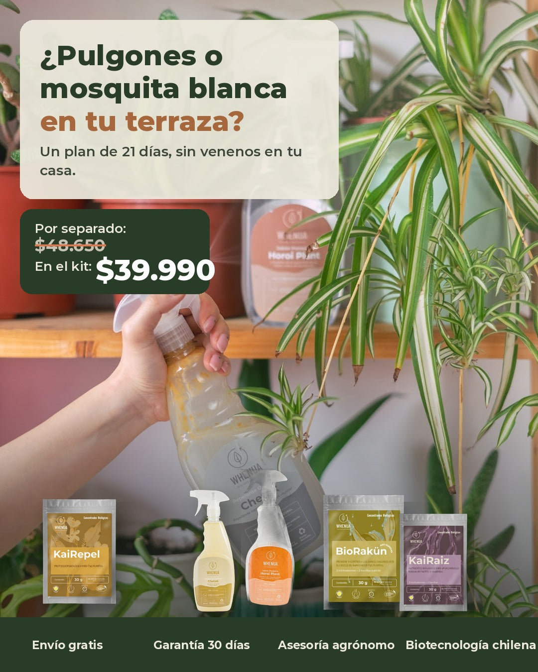 Pulverizando plantas de interior, Kit Adiós Plagas a $39.990