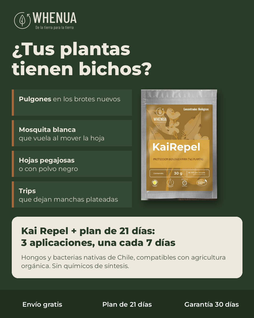 Señales de plaga: pulgones, mosquita blanca, hojas pegajosas y trips, y el plan de Kai Repel en 3 aplicaciones