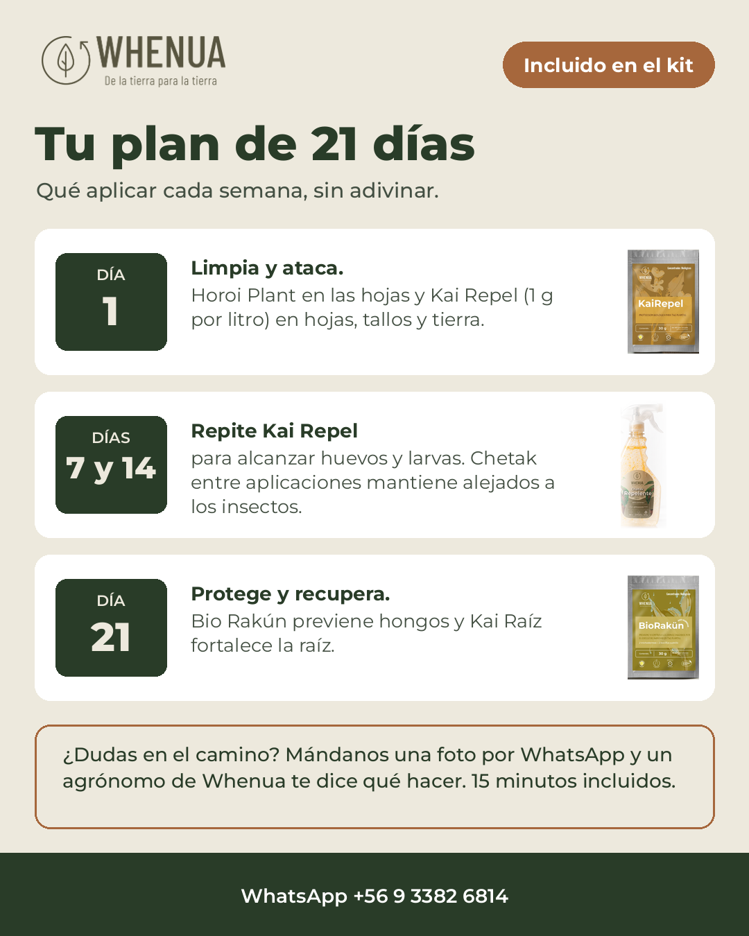 Plan de 21 días del Kit Adiós Plagas: día 1, días 7 y 14, y día 21