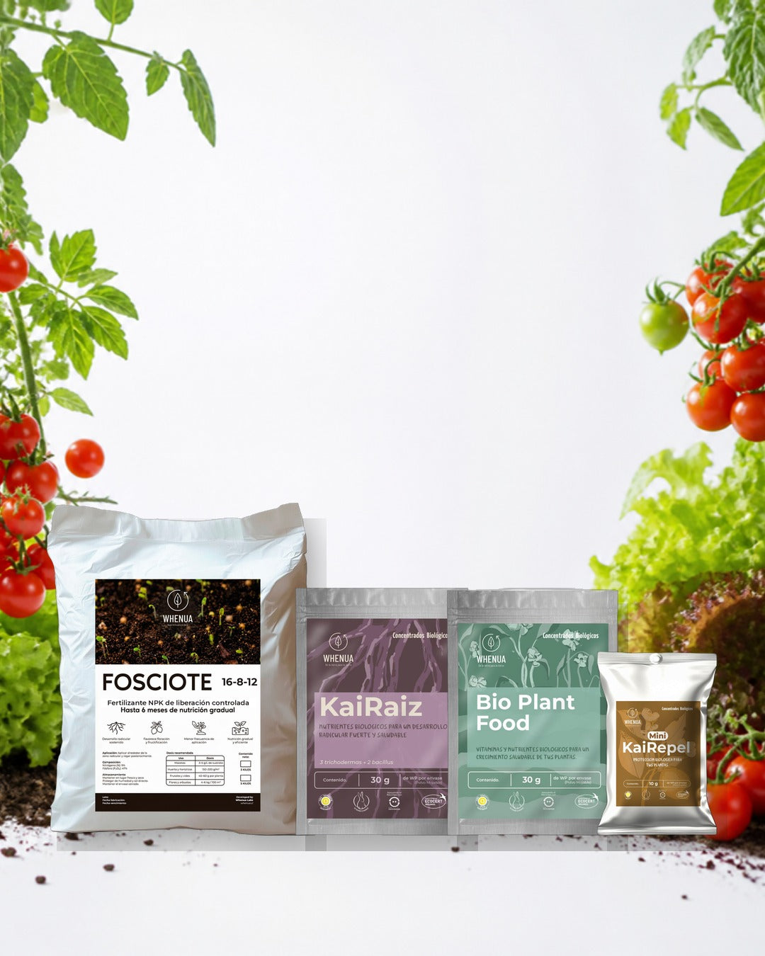 Kit Huerto entre tomates y lechugas