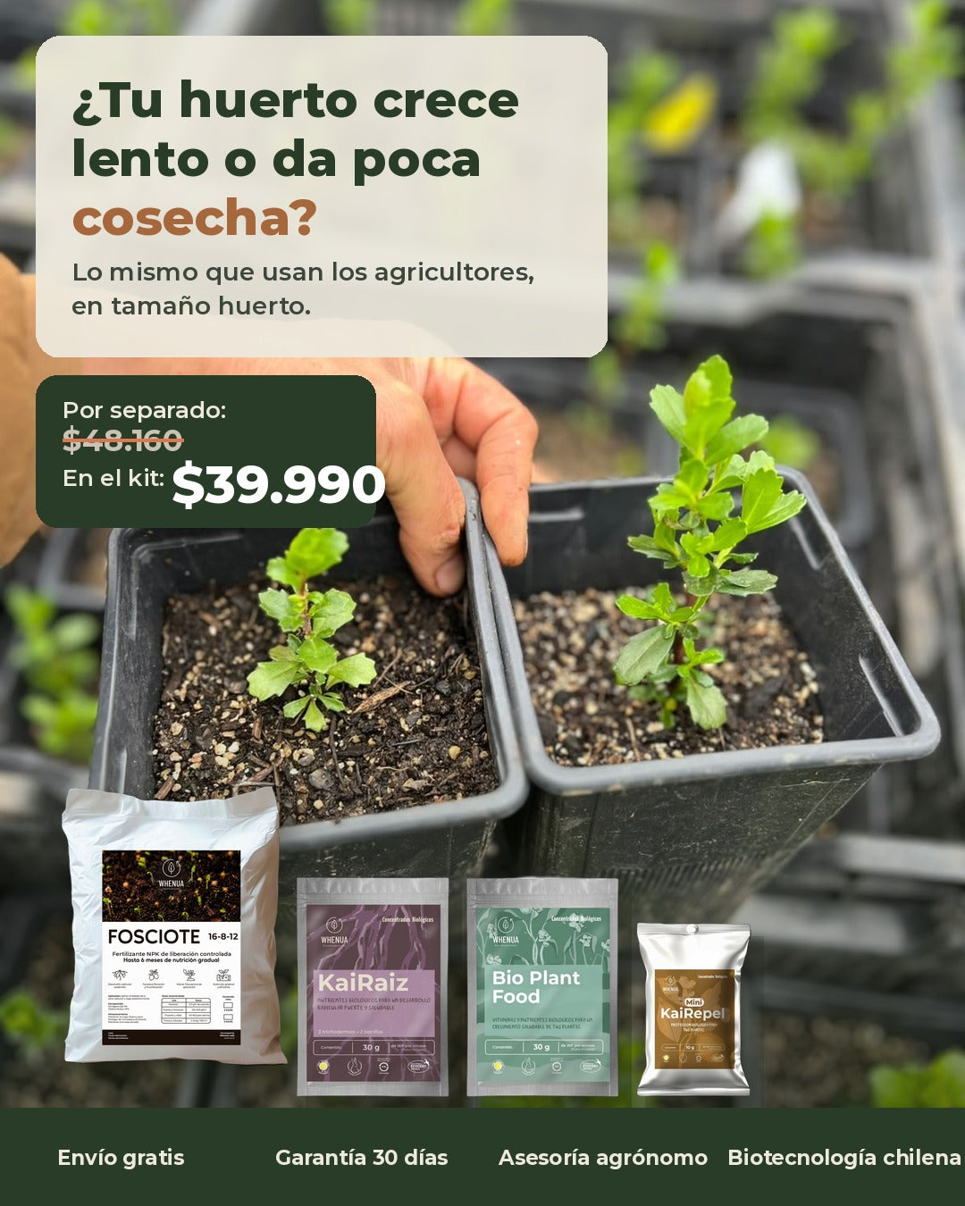 Plantines de huerto de una clienta Whenua, Kit Huerto a $39.990