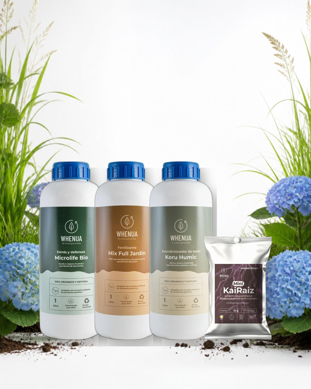 Kit Jardín entre hortensias y gramíneas