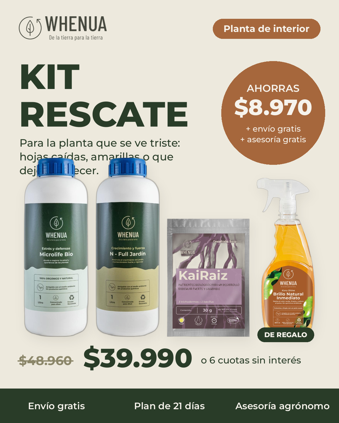 Kit Rescate Planta de Interior: kit, regalo y ahorro