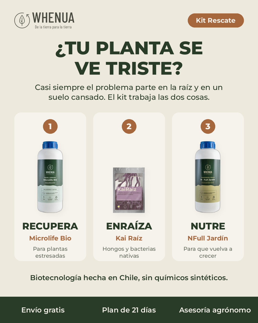 ¿Tu planta se ve triste? Recupera, enraíza y nutre