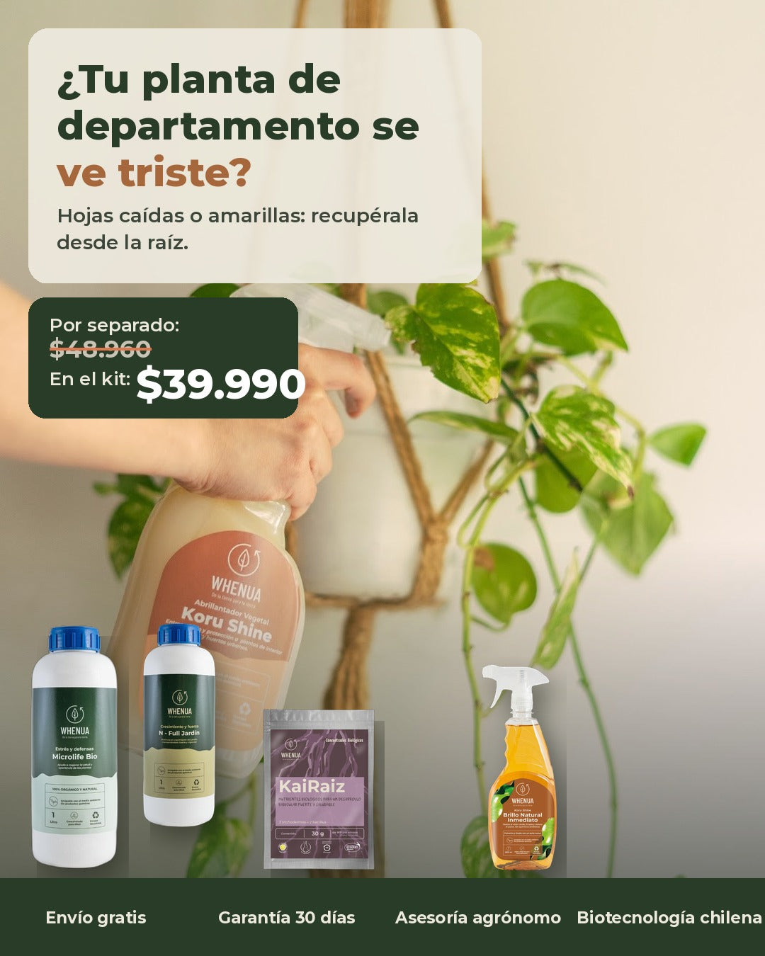 Pulverizando un pothos de interior, Kit Rescate a $39.990
