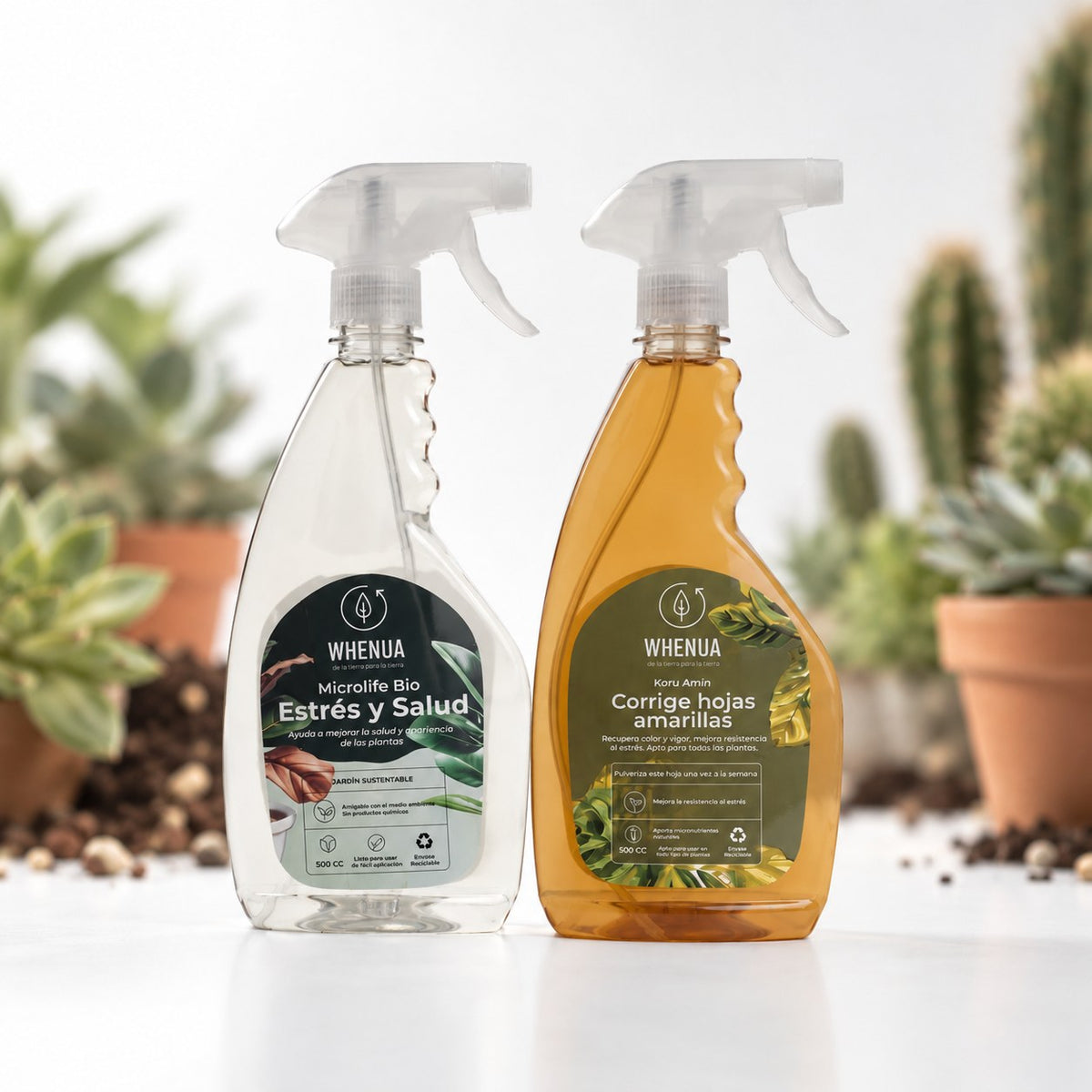 Pack Cuidado Suculentas — Enraizante + Fertilizante