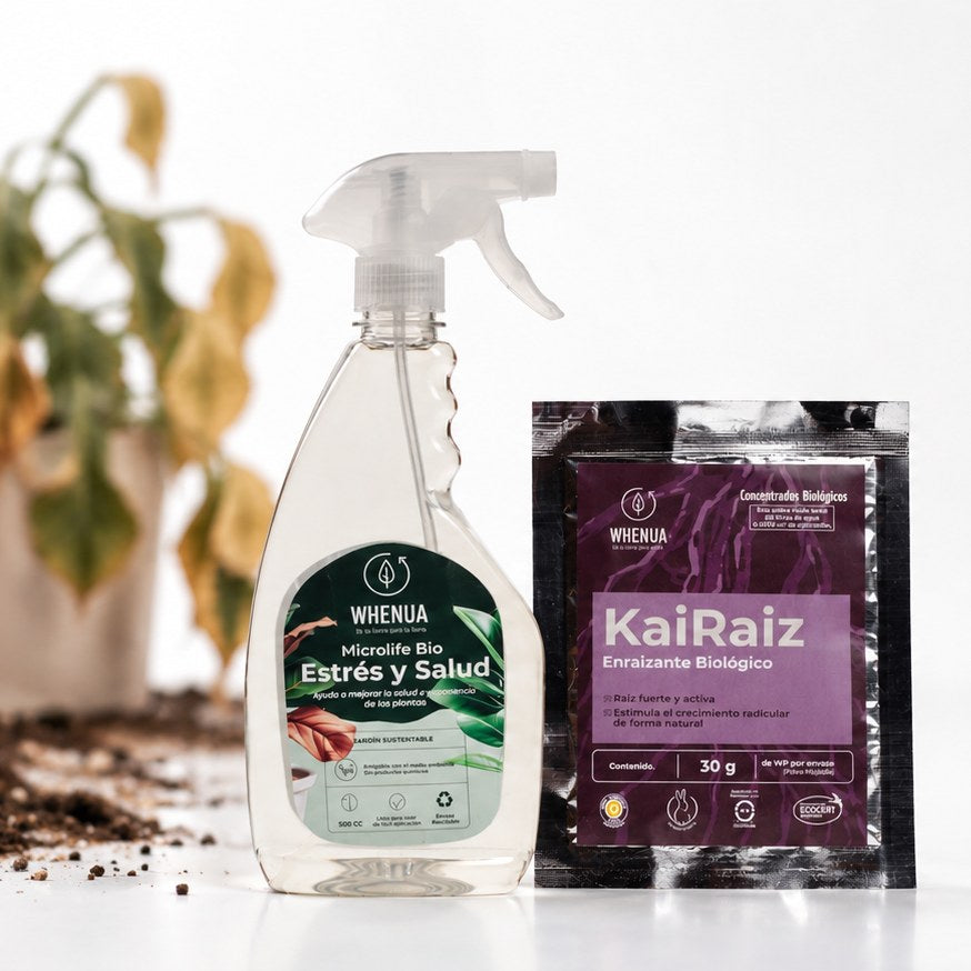 Pack Planta Débil o Recién Trasplantada — Kai Raíz + Microlife Bio