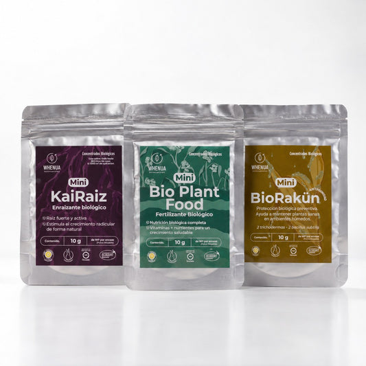 Pack Trasplante sin Estrés — Raíz, Nutrición y Antihongos (3 x 10 g)