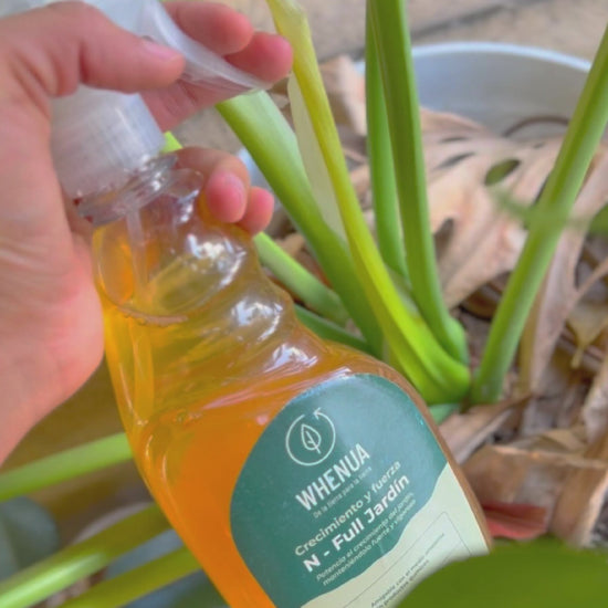 NFull Jardín aplicado en una planta de interior
