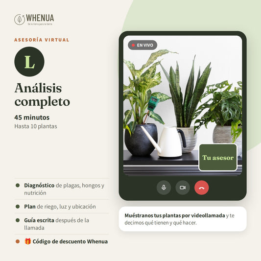 Asesoría virtual L Whenua: 45 minutos, hasta 10 plantas
