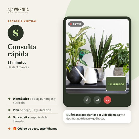 Asesoría virtual Whenua