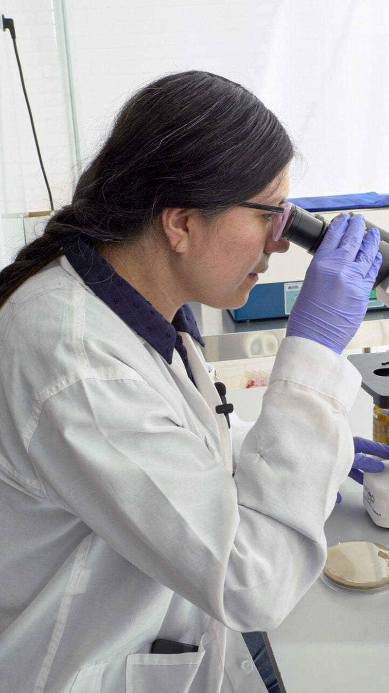 Trabajo en el laboratorio de Whenua