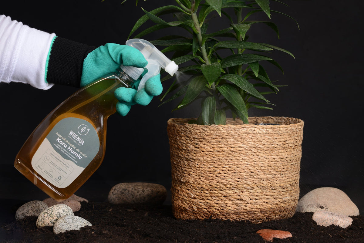 Mano con guante aplicando Koru Humic de Whenua a una planta en macetero de fibra natural