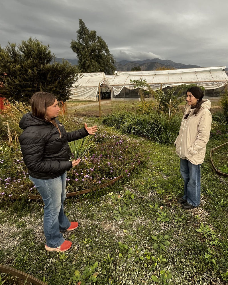 Equipo Whenua en visita a un vivero